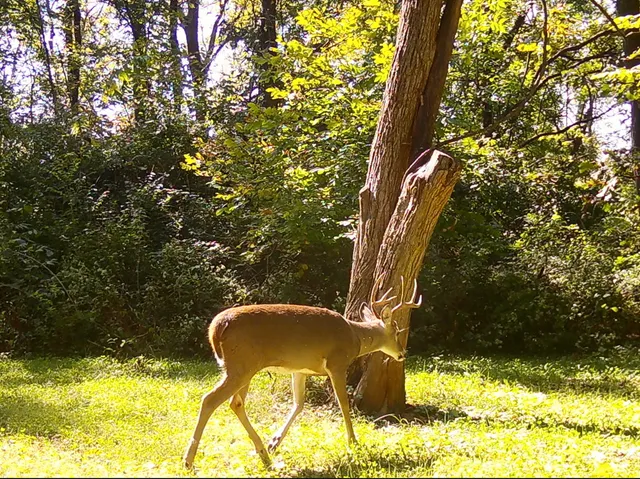 $454,125 | 5180 West Cantrell Street, Decatur, IL 62522