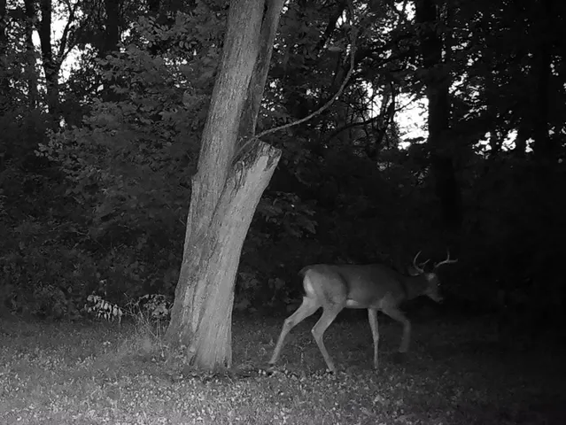 $454,125 | 5180 West Cantrell Street, Decatur, IL 62522