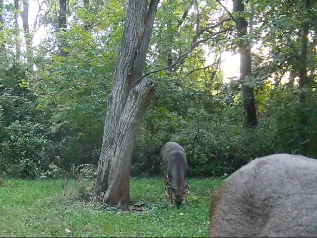 $454,125 | 5180 West Cantrell Street, Decatur, IL 62522