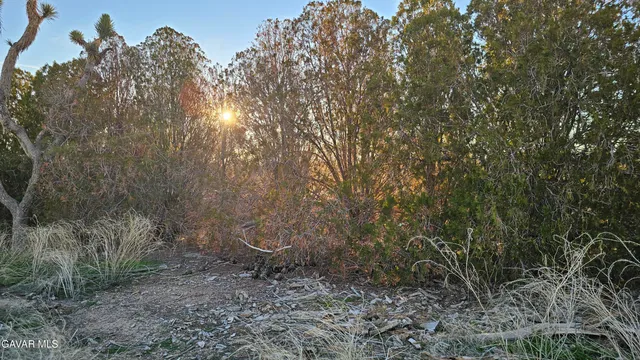 $549,000 | 49019 120th Street East, Lancaster, CA 93535