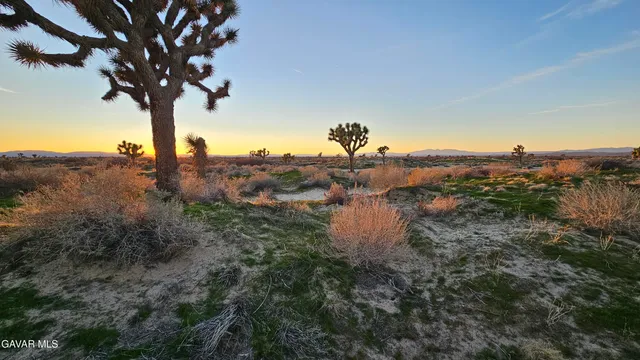 $549,000 | 49019 120th Street East, Lancaster, CA 93535