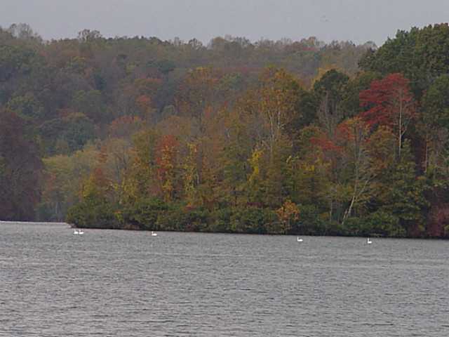 29900 Lake Logan Road Logan, OH 43138 - Photo 2 of 20 Gallery Image 2