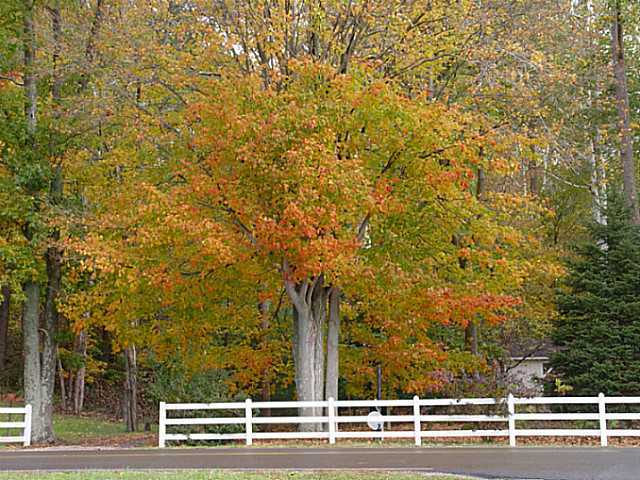 29900 Lake Logan Road Logan, OH 43138 - Photo 3 of 20 Gallery Image 3