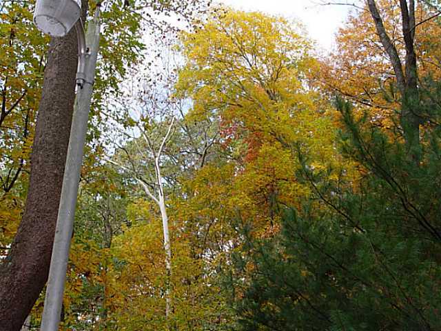 29900 Lake Logan Road Logan, OH 43138 - Photo 7 of 20 Gallery Image 7