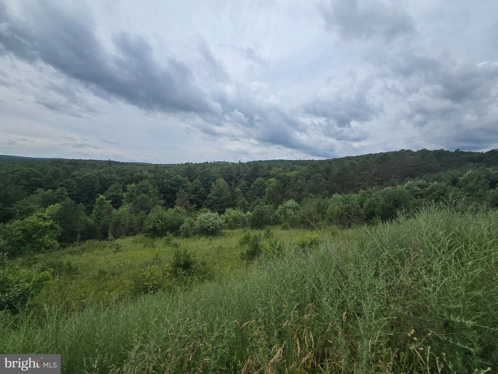 4081 Scootac Road Beech Creek, PA 16822 - Photo 44 of 45 Lush green hills under moody skies.