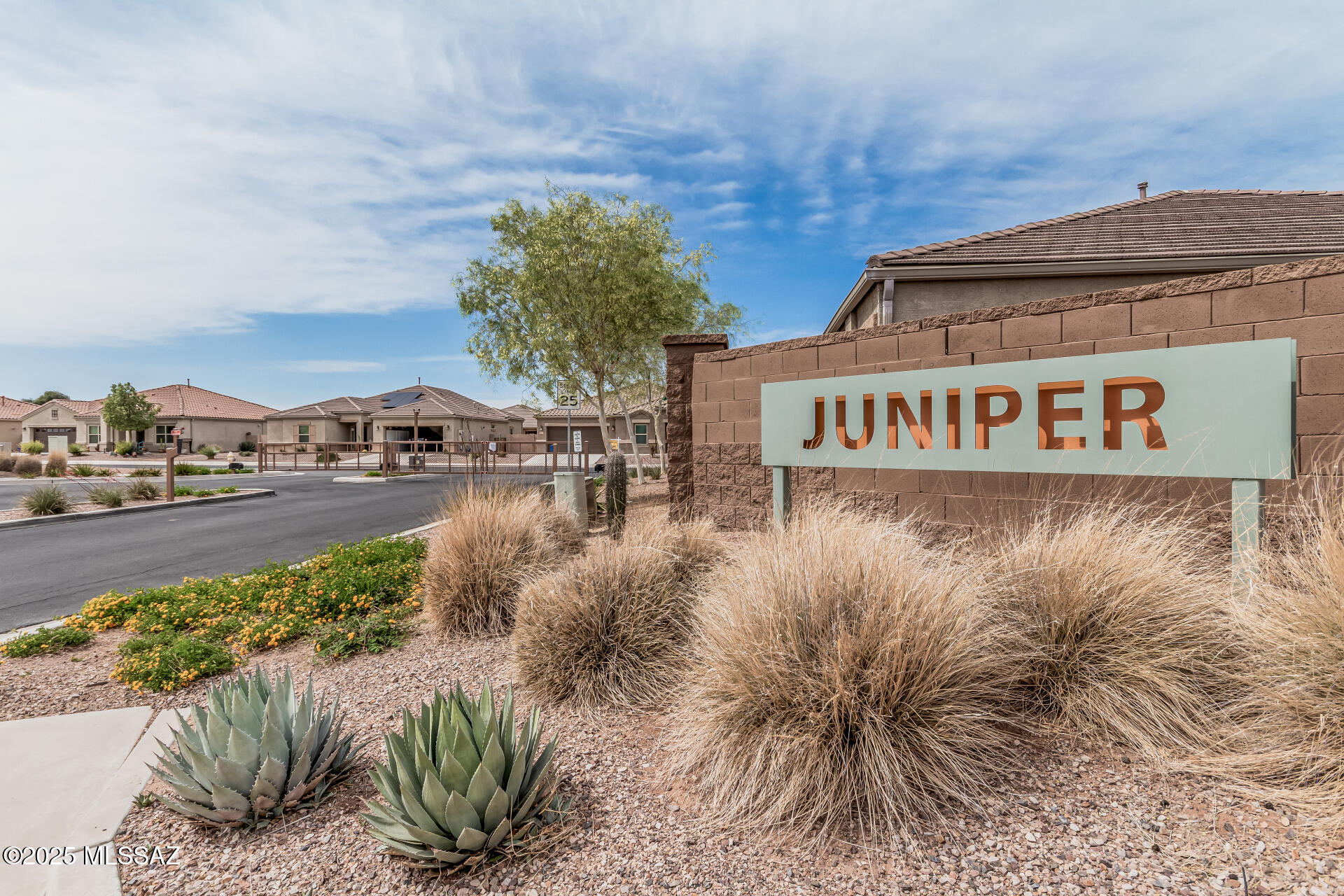 8879 West Blakebrook Road Marana, AZ 85653 - Photo 3 of 43