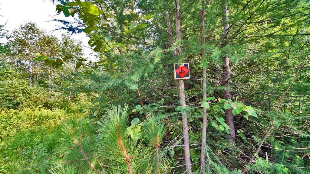 Lot 62-5 Folsom Road Houlton, ME 04730 - Photo 21 of 28 folsom-rd-me-land-4