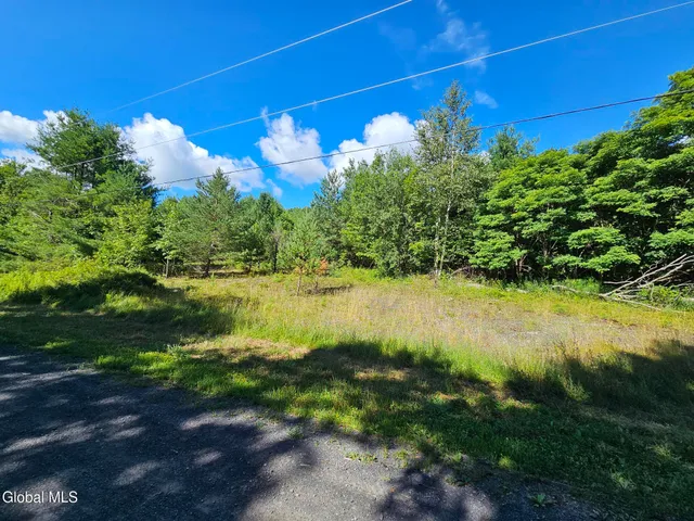 $26,900 | L-16.5 Donlan Heights Road, Middleburgh, NY 12122