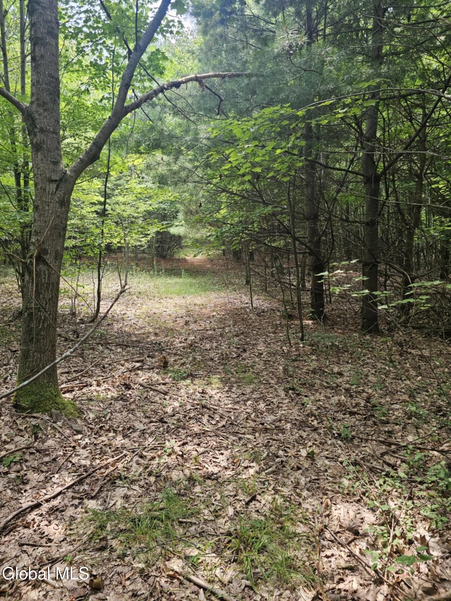 L-16.5 Donlan Heights Road Middleburgh, NY 12122 - Photo 13 of 18 b41e1f7c-48f5-45ec-9616-48822935424b