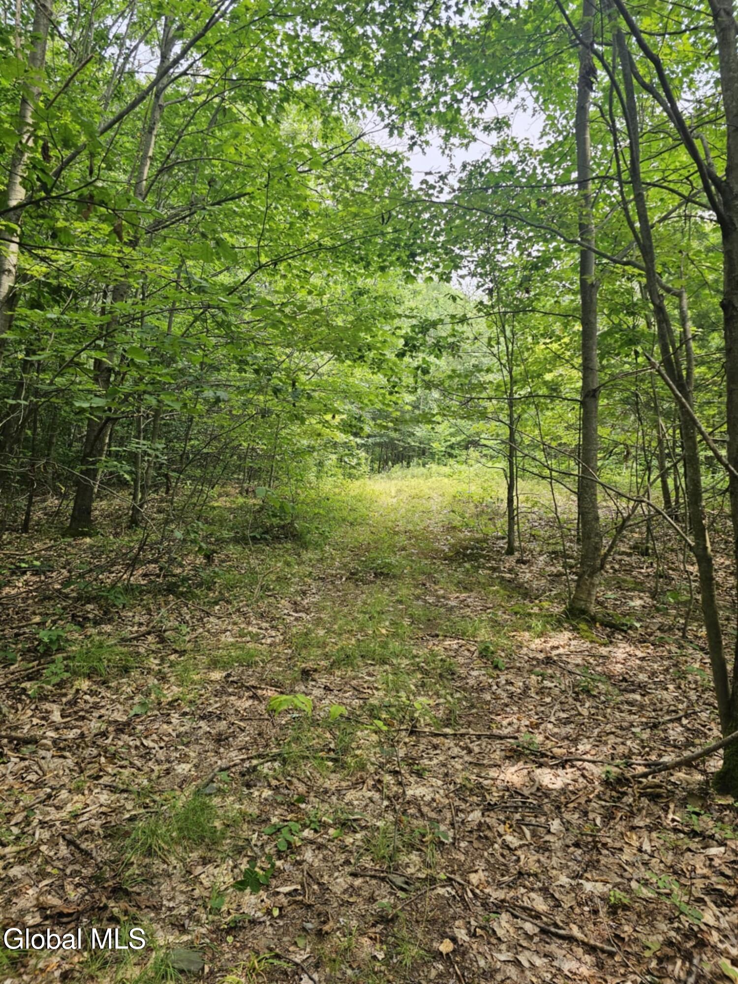 L-16.5 Donlan Heights Road Middleburgh, NY 12122 - Photo 14 of 18 594a4527-c193-4387-9d51-dad7245b7cd2