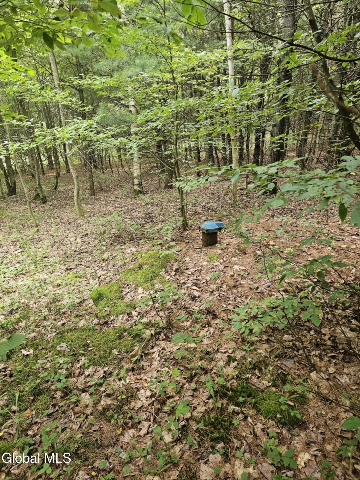 L-16.5 Donlan Heights Road Middleburgh, NY 12122 - Photo 15 of 18 ead12530-0f46-4a21-b4b8-aa3cb799e474