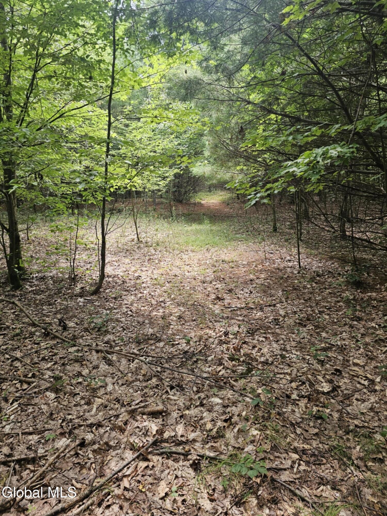 L-16.5 Donlan Heights Road Middleburgh, NY 12122 - Photo 17 of 18 0e0c4b6a-b6b2-4d09-9e4b-ca6e3ccac4d9