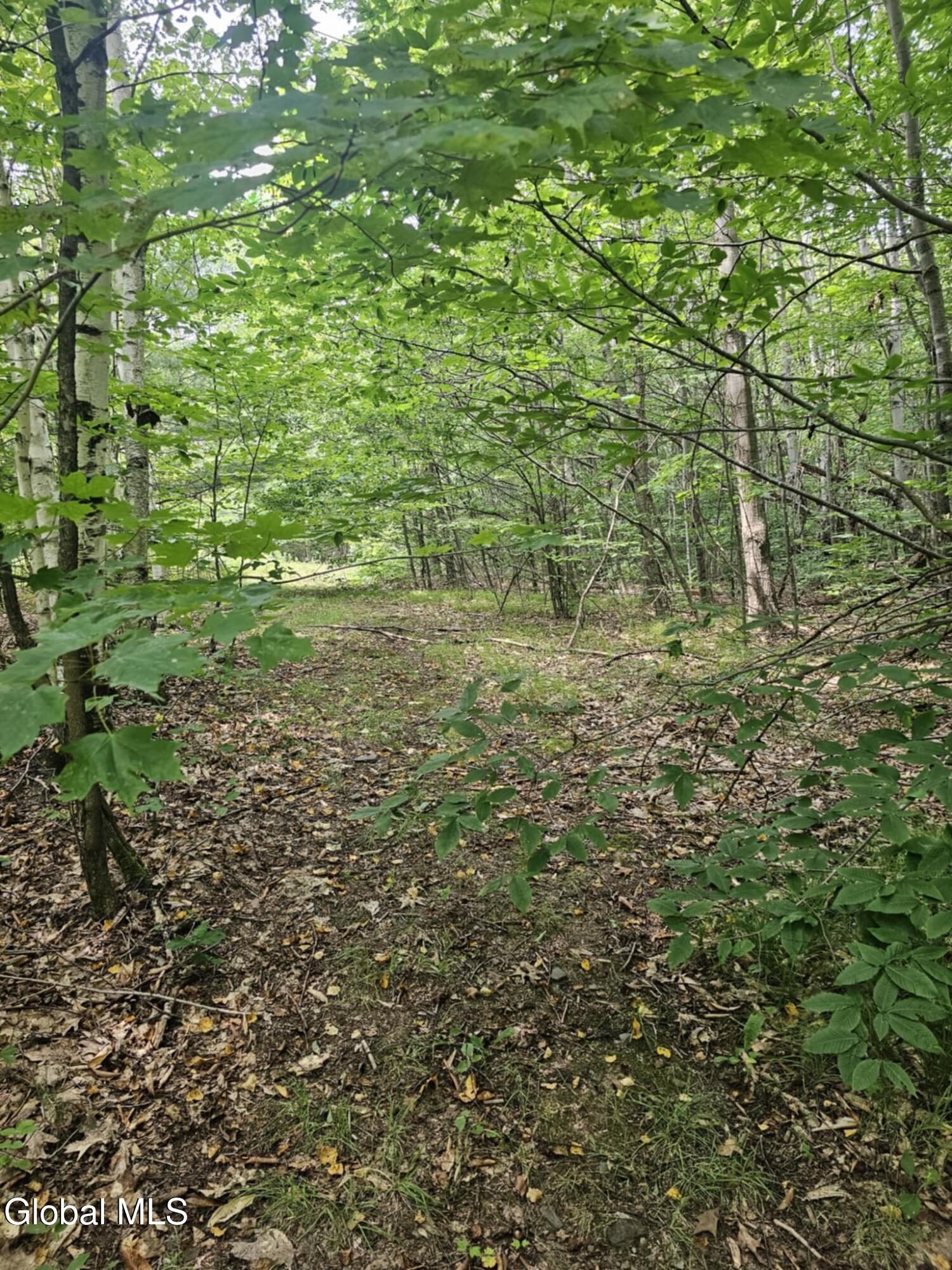 L-16.5 Donlan Heights Road Middleburgh, NY 12122 - Photo 18 of 18 d0d79df2-e7d2-4af8-be33-7c47d397f5d1