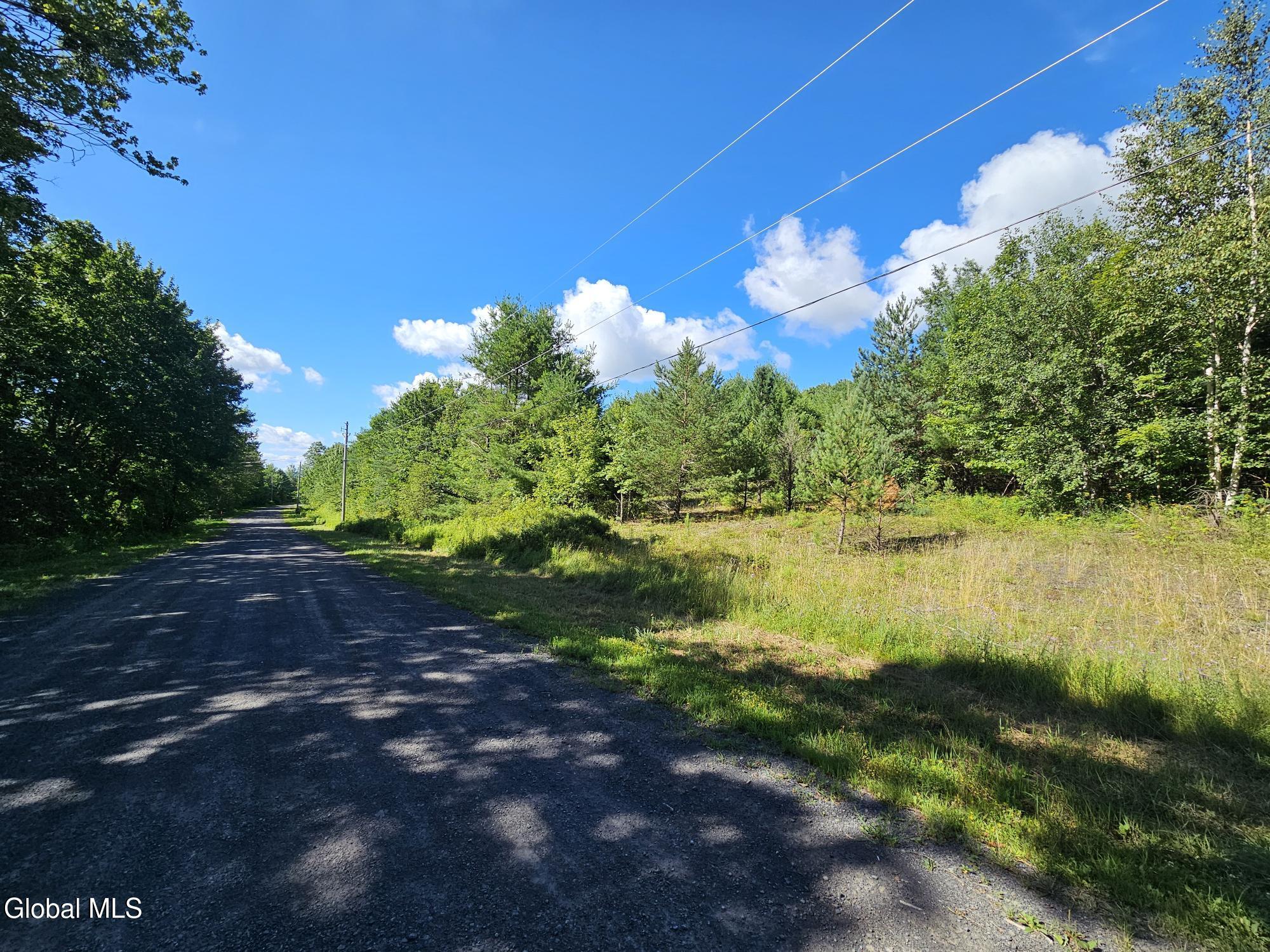 L-16.5 Donlan Heights Road Middleburgh, NY 12122 - Photo 3 of 18 20250722_095150
