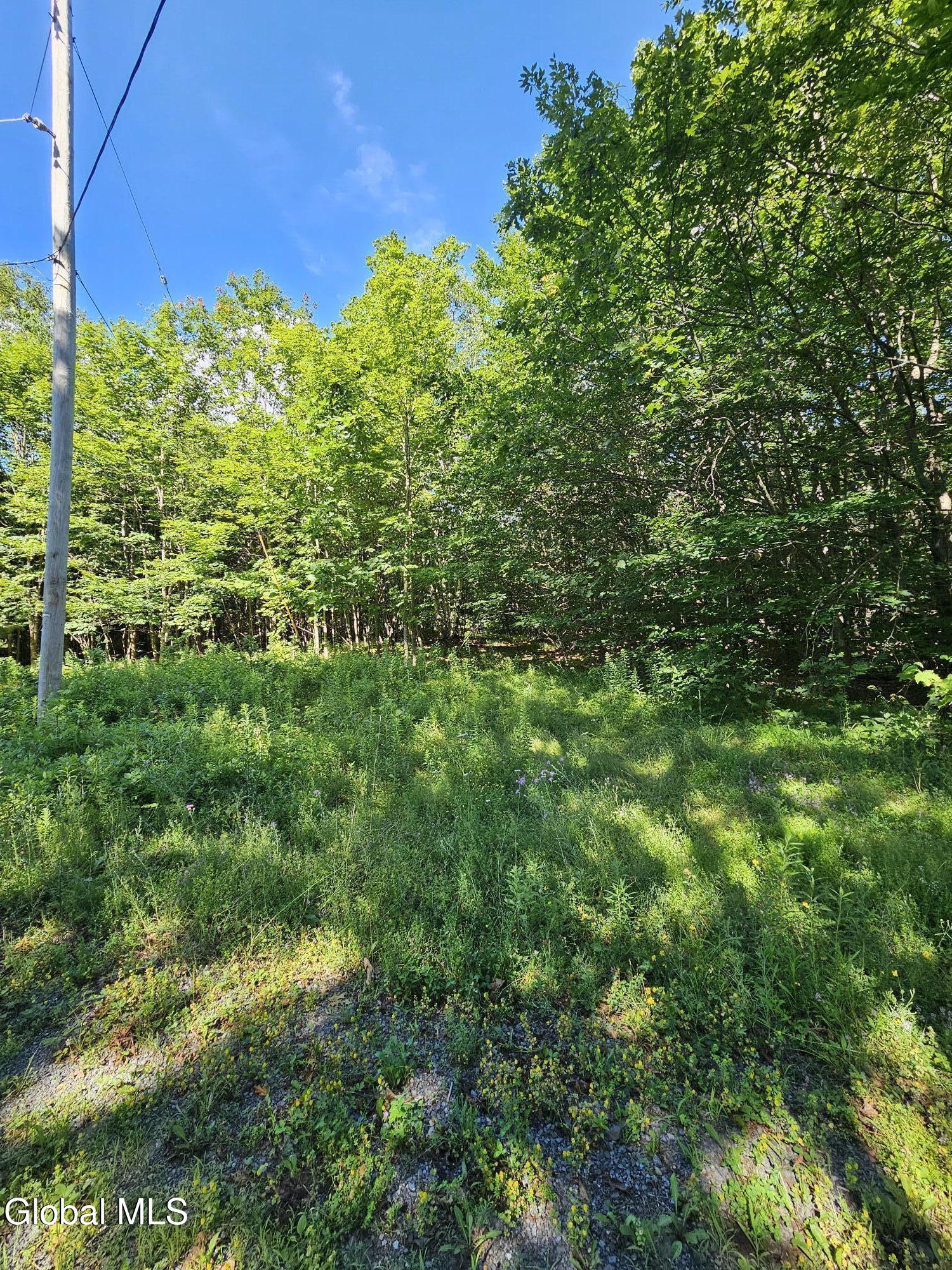 L-16.5 Donlan Heights Road Middleburgh, NY 12122 - Photo 4 of 18 20250722_095249