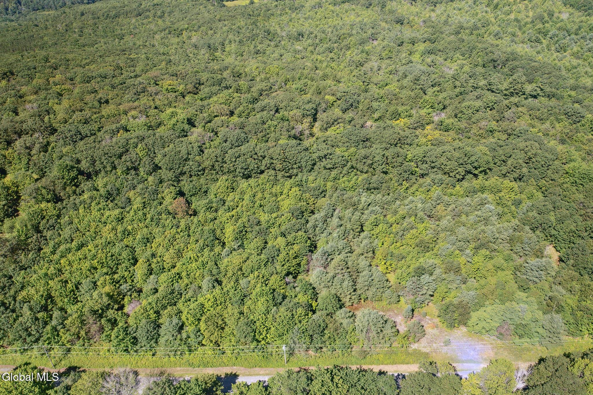 L-16.5 Donlan Heights Road Middleburgh, NY 12122 - Photo 5 of 18 FS_LT_072225_0023