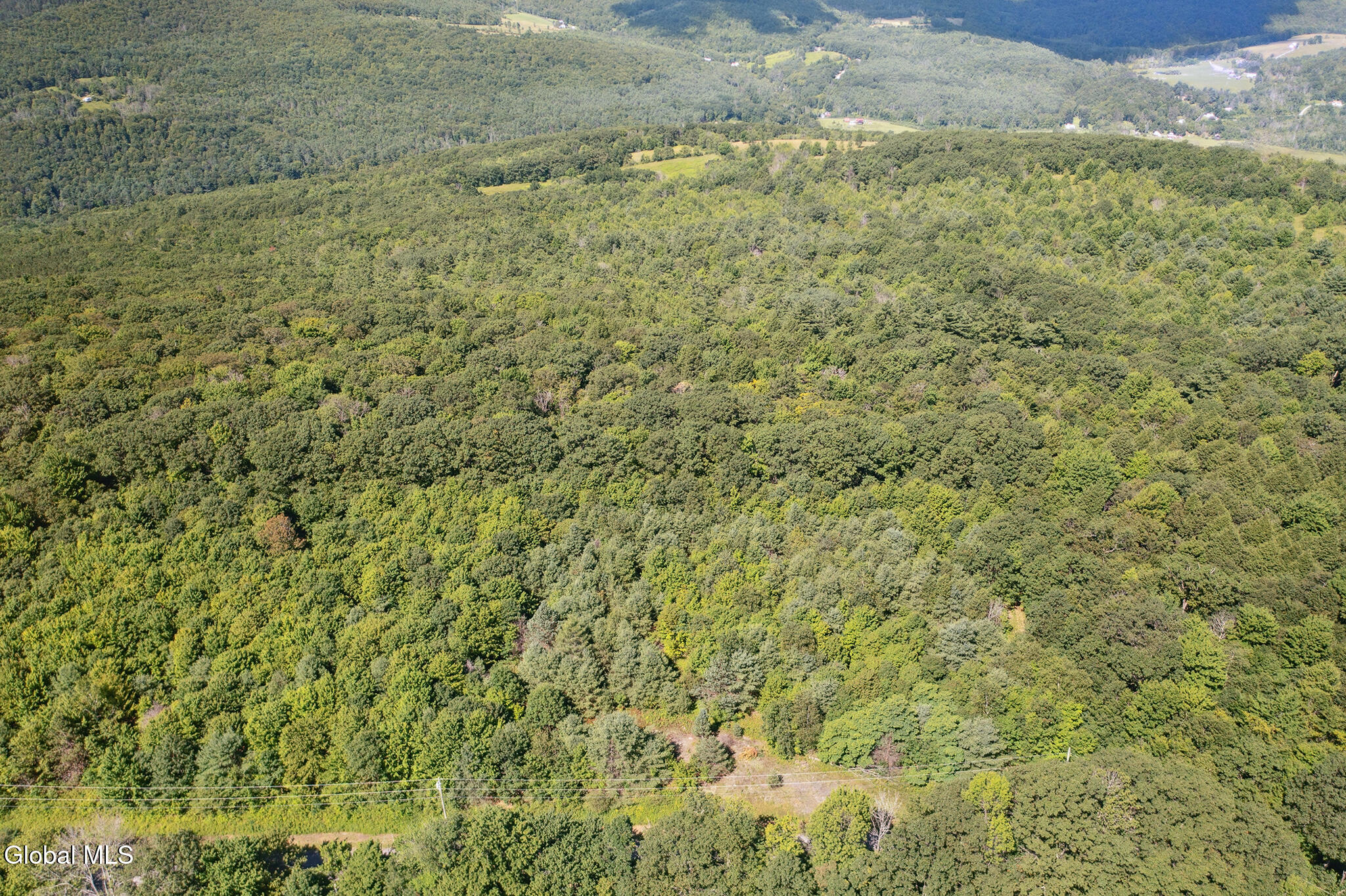 L-16.5 Donlan Heights Road Middleburgh, NY 12122 - Photo 6 of 18 FS_LT_072225_0013