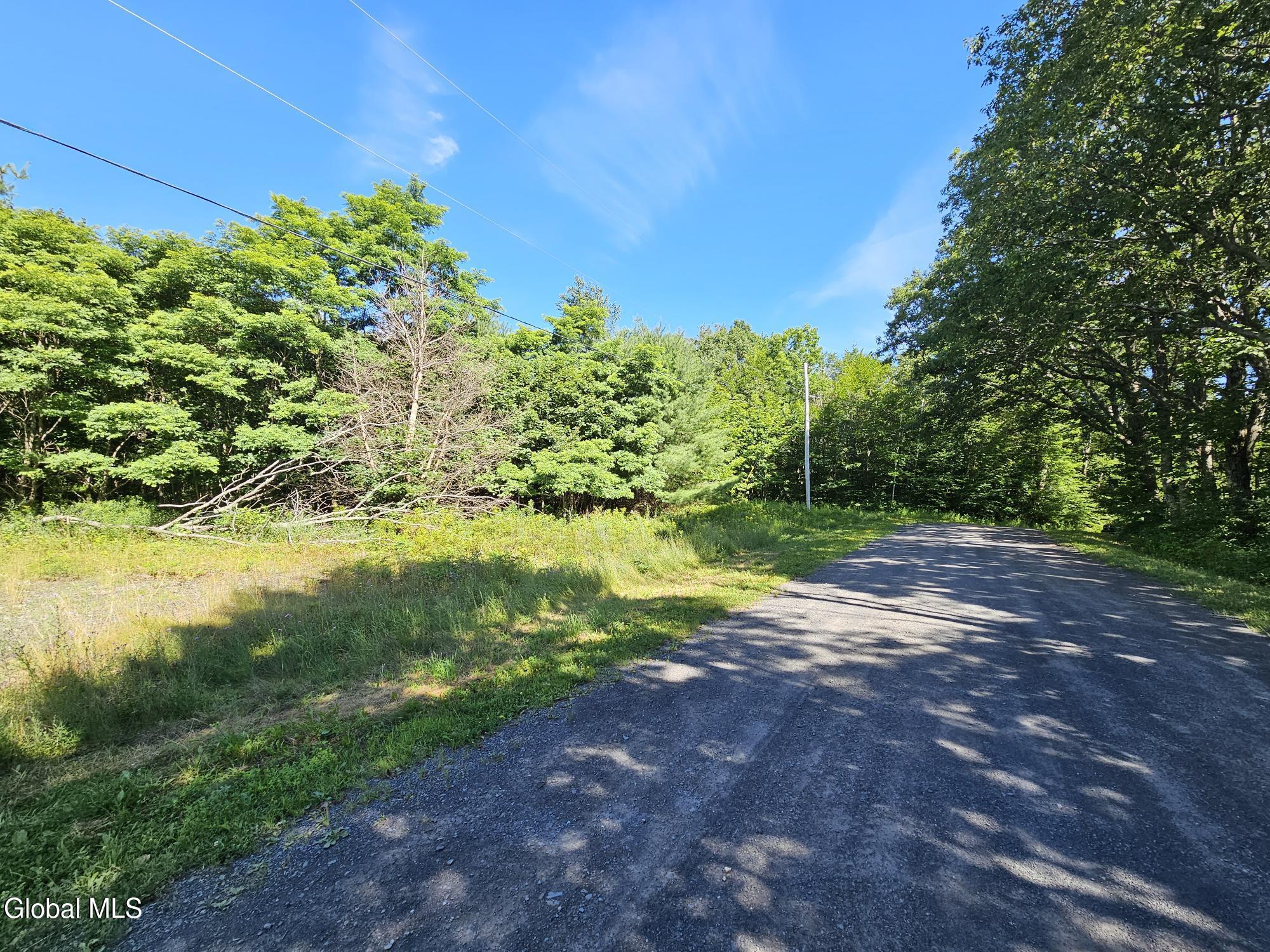 L-16.5 Donlan Heights Road Middleburgh, NY 12122 - Photo 8 of 18 20250722_095154