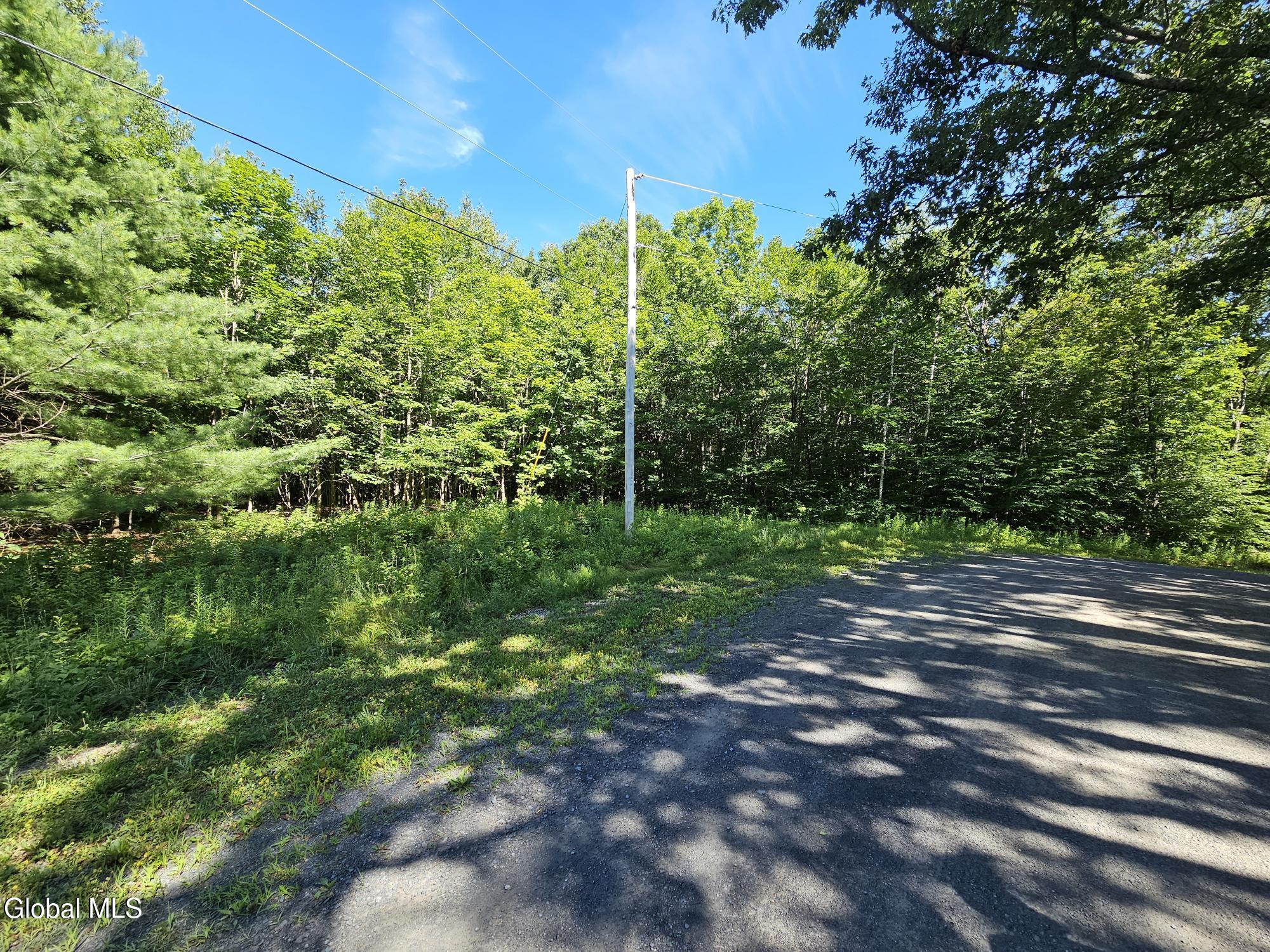 L-16.5 Donlan Heights Road Middleburgh, NY 12122 - Photo 9 of 18 20250722_095218