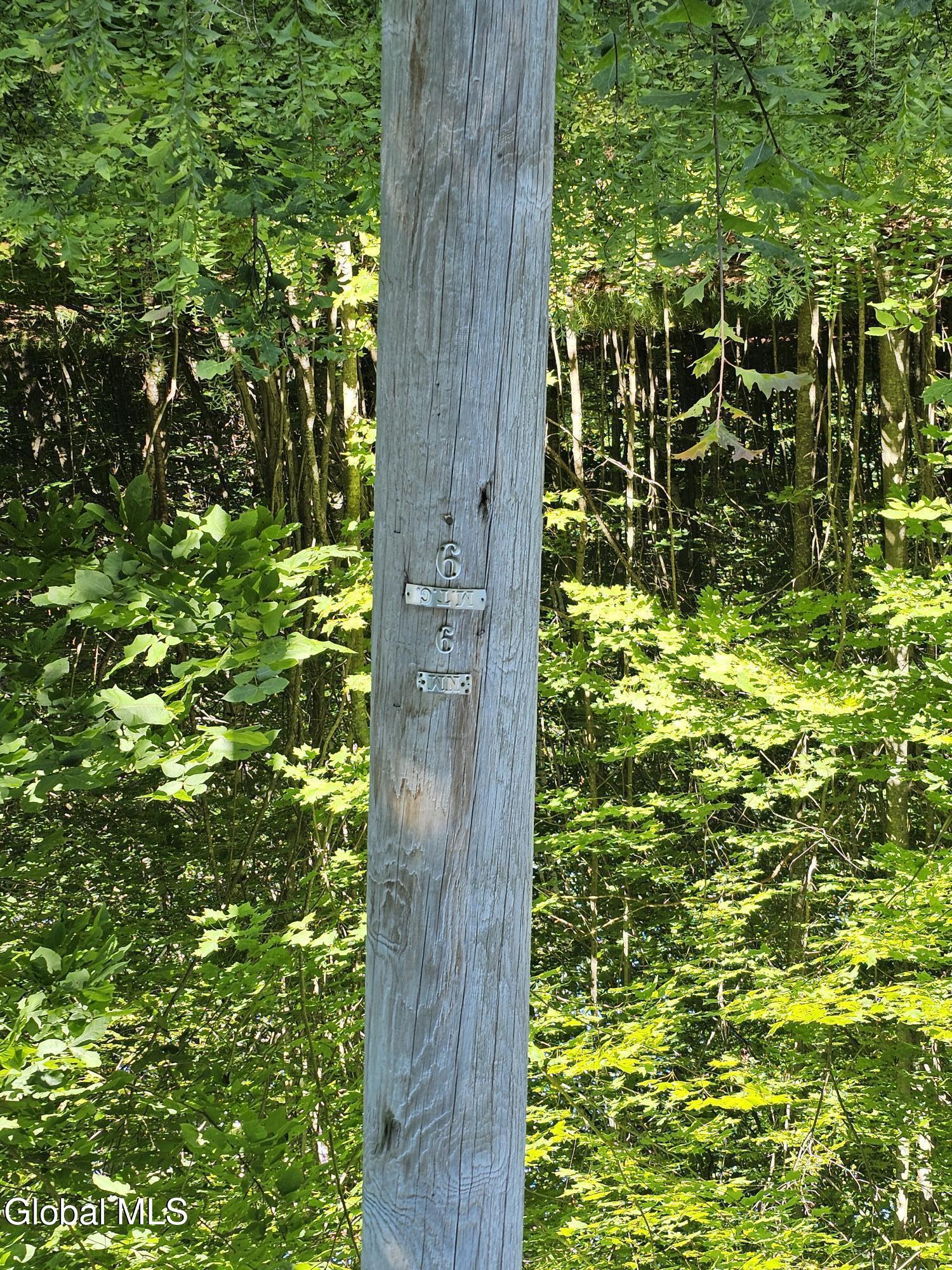 L-16.5 Donlan Heights Road Middleburgh, NY 12122 - Photo 10 of 18 20250722_095234