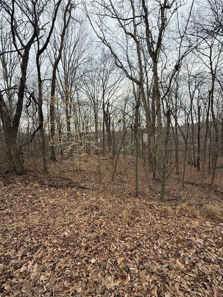 0 Pitcher Road South Morgantown, KY 42261 - Photo 16 of 18 Gallery Image 16