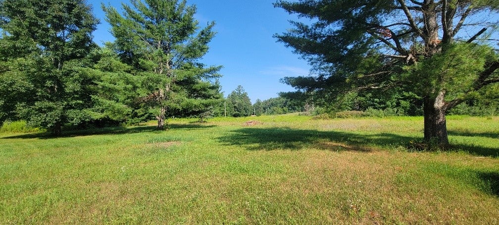 N9036 Lakeside Road Trego, WI 54888 - Photo 16 of 16