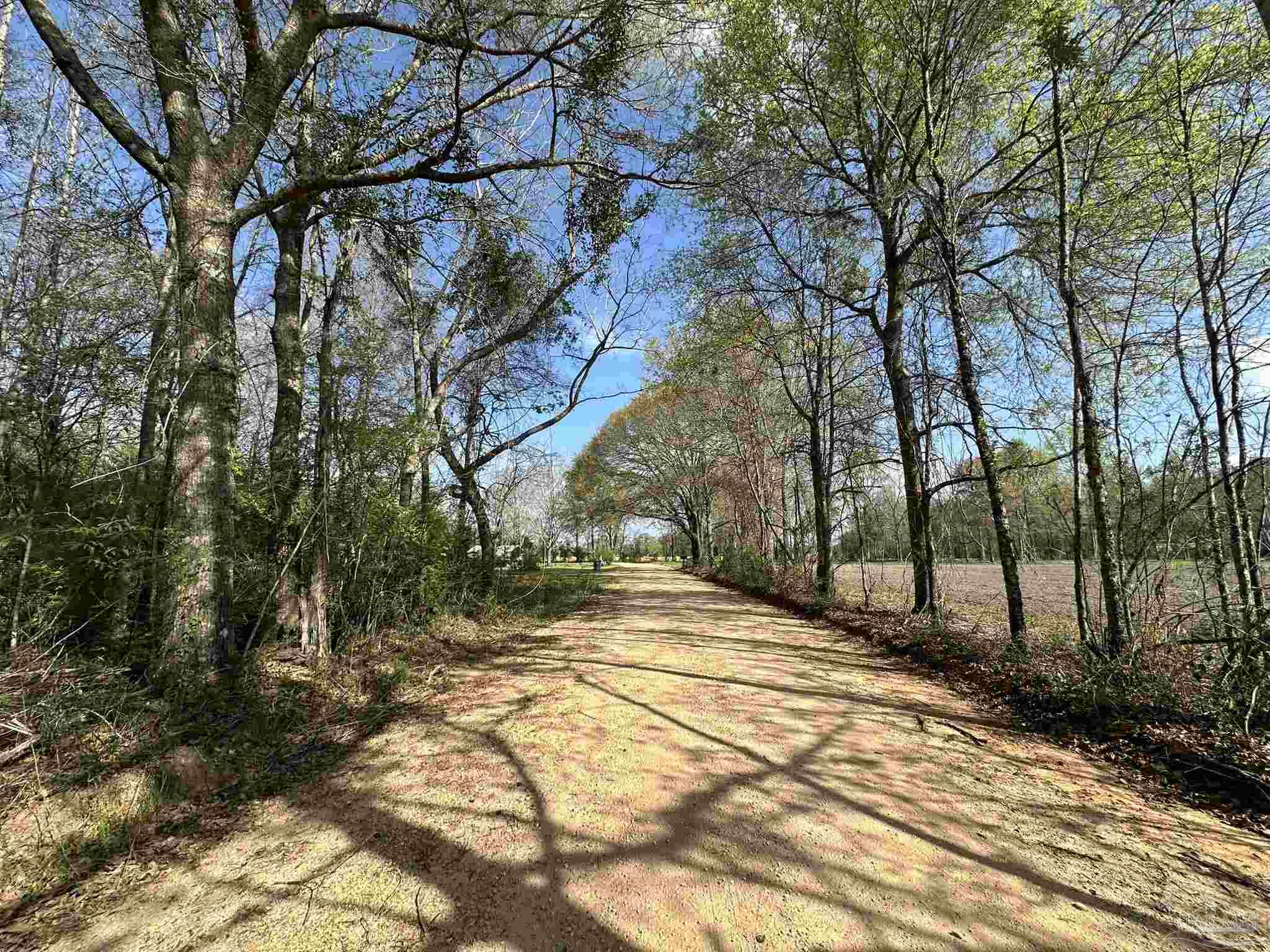 83-ac Lett Road Frisco City, AL 36445 - Photo 7 of 10
