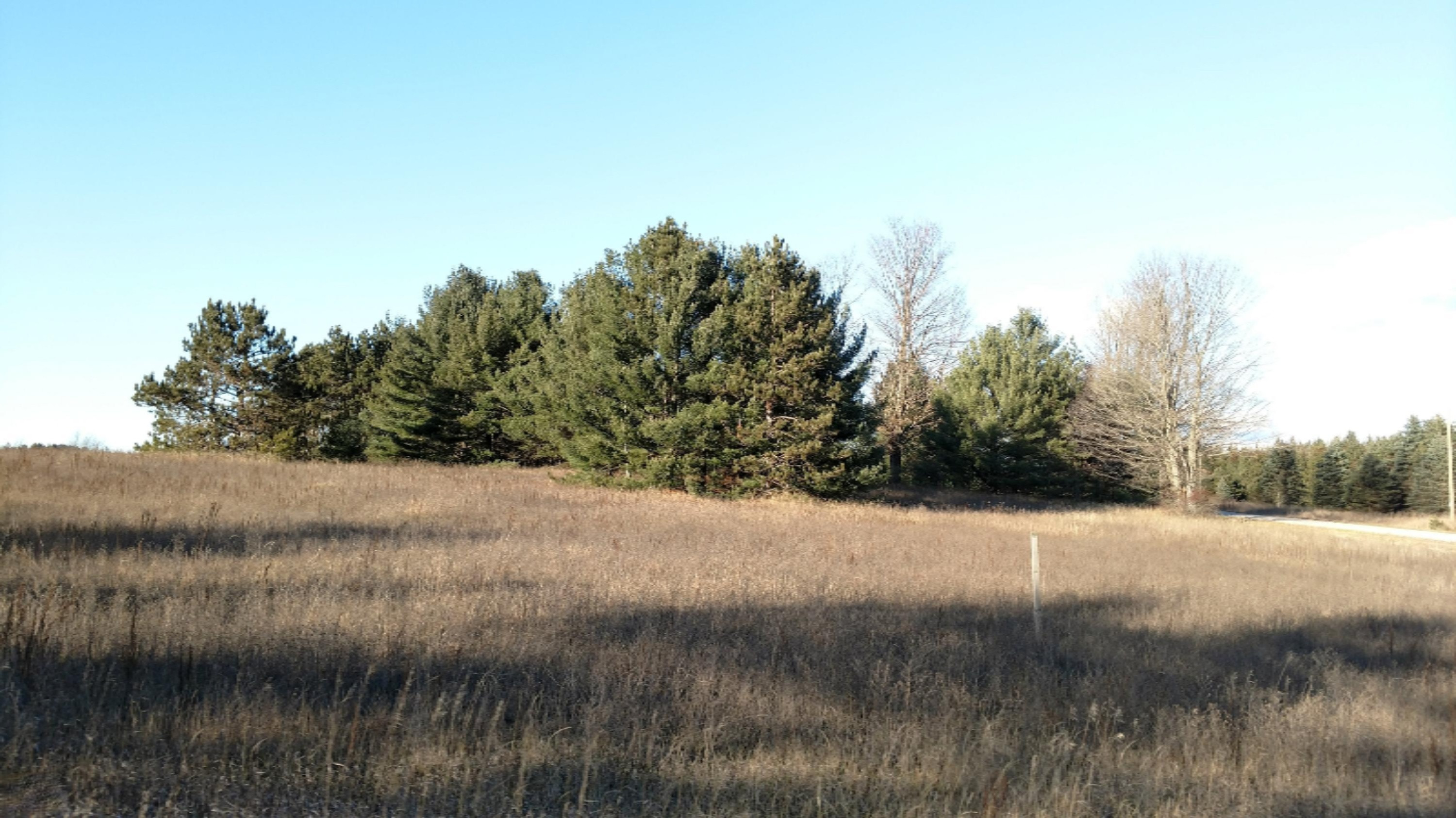12450 9 Mile Road Kaleva, MI 49645 - Photo 17 of 30 IMG_20171130_150747921