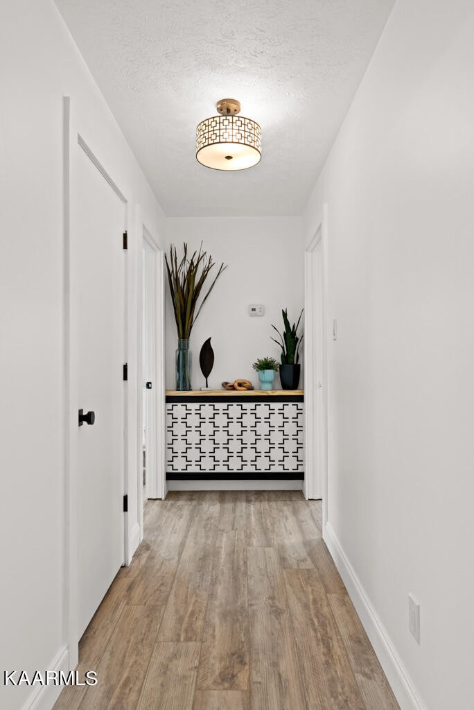 403 Wells Spring Road Dandridge, TN 37725 - Photo 11 of 24 a view of entryway with wooden floor