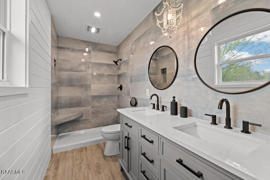 403 Wells Spring Road Dandridge, TN 37725 - Photo 15 of 24 a bathroom with a toilet a sink and a mirror