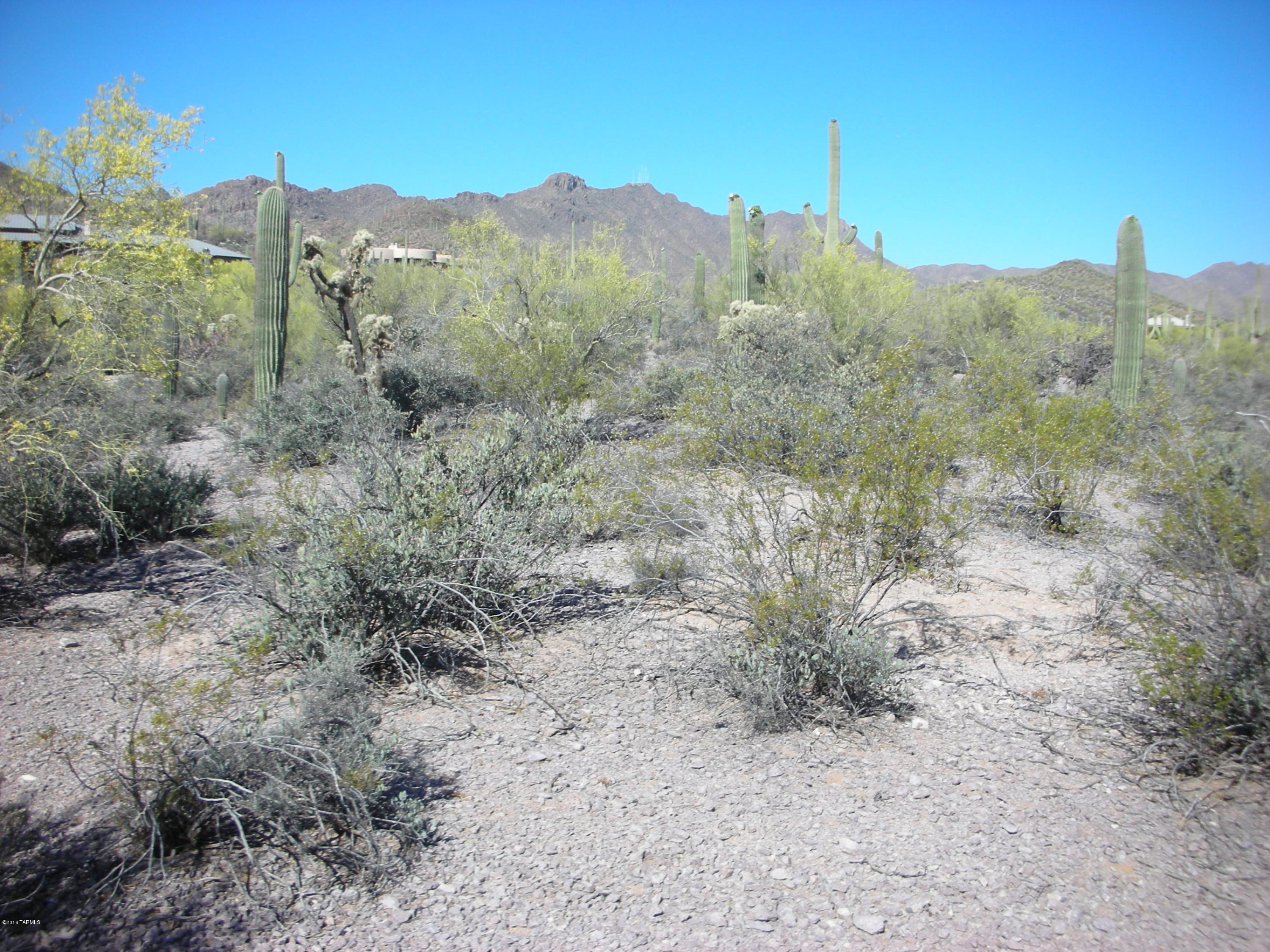 5075 West Rhyolite Loop Tucson, AZ 85745 - Photo 12 of 13 Gallery Image 12