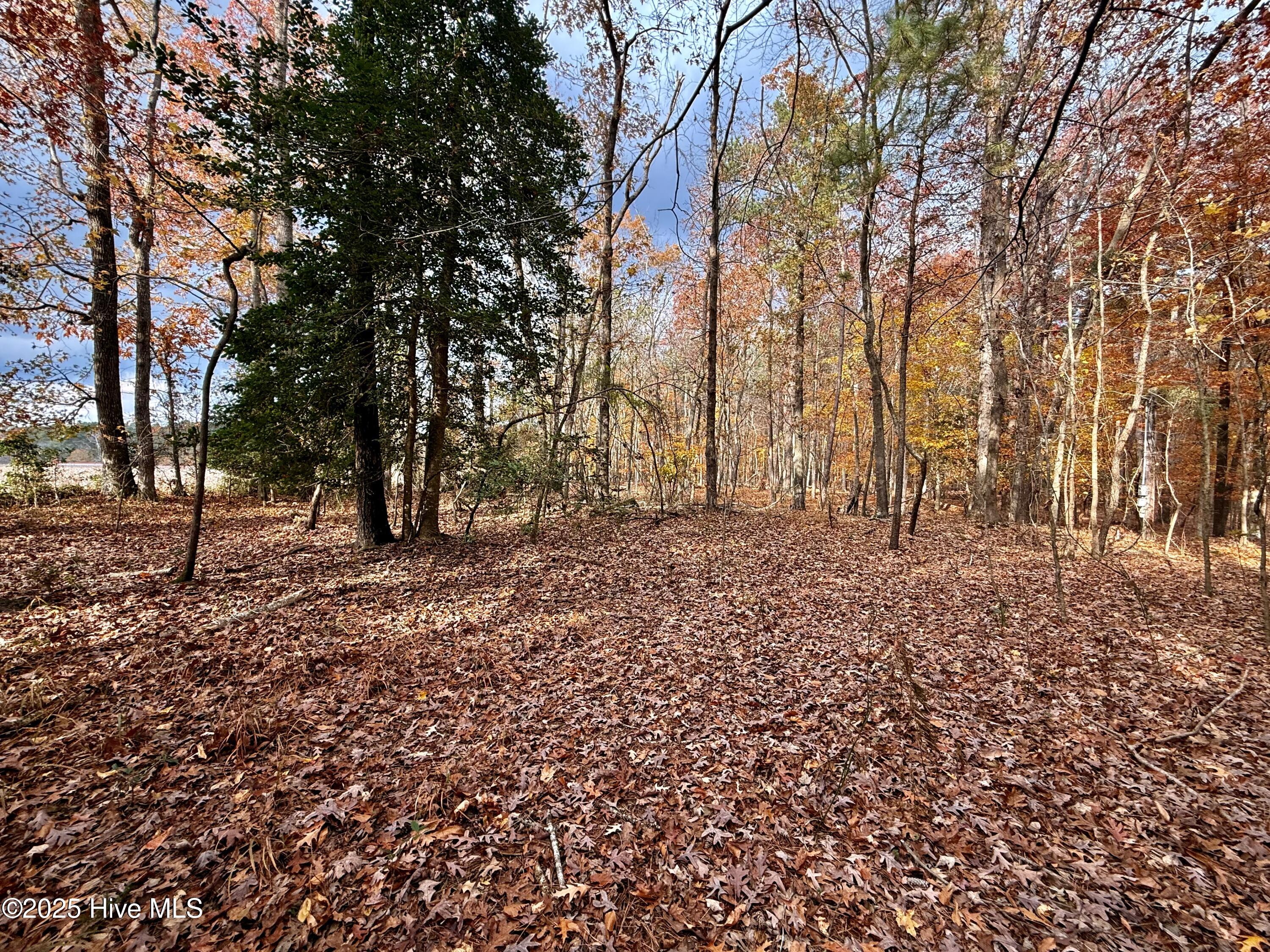 0 Williams Road Williamston, NC 27892 - Photo 13 of 16 Some Clearing