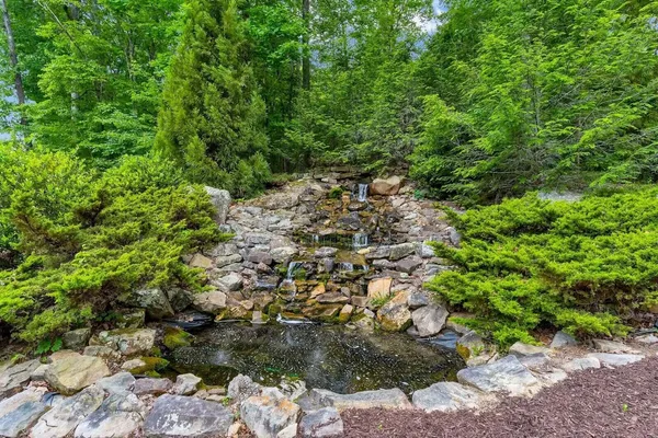 a view of swimming pool with a yard and trees in the background
