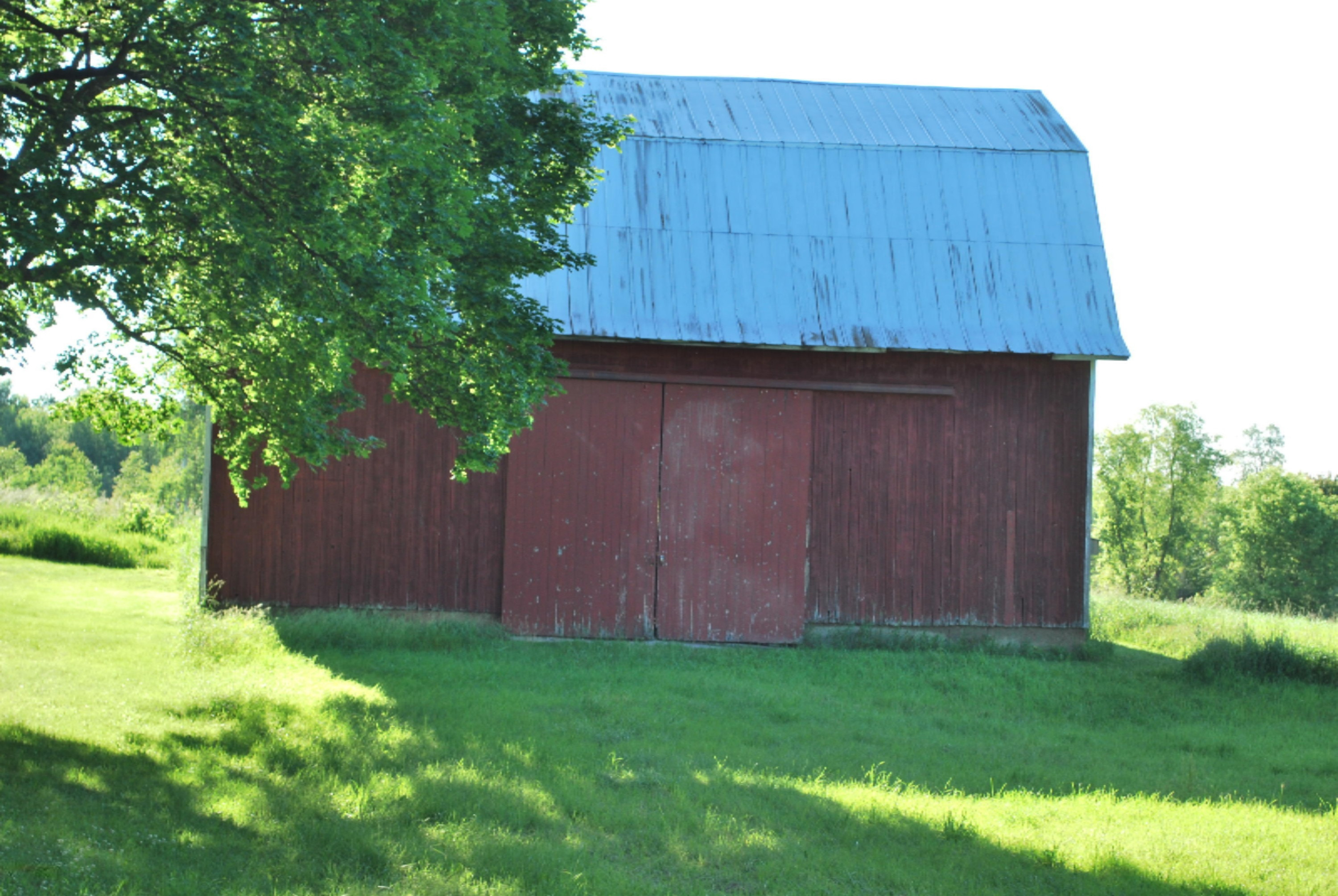 6015 Tow Road Sheridan, MI 48884 - Photo 5 of 5 DSC_0192