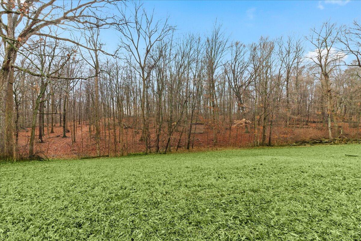 2999 Cemetery Road St. Paris, OH 43072 - Photo 22 of 64 22-IMG_0878
