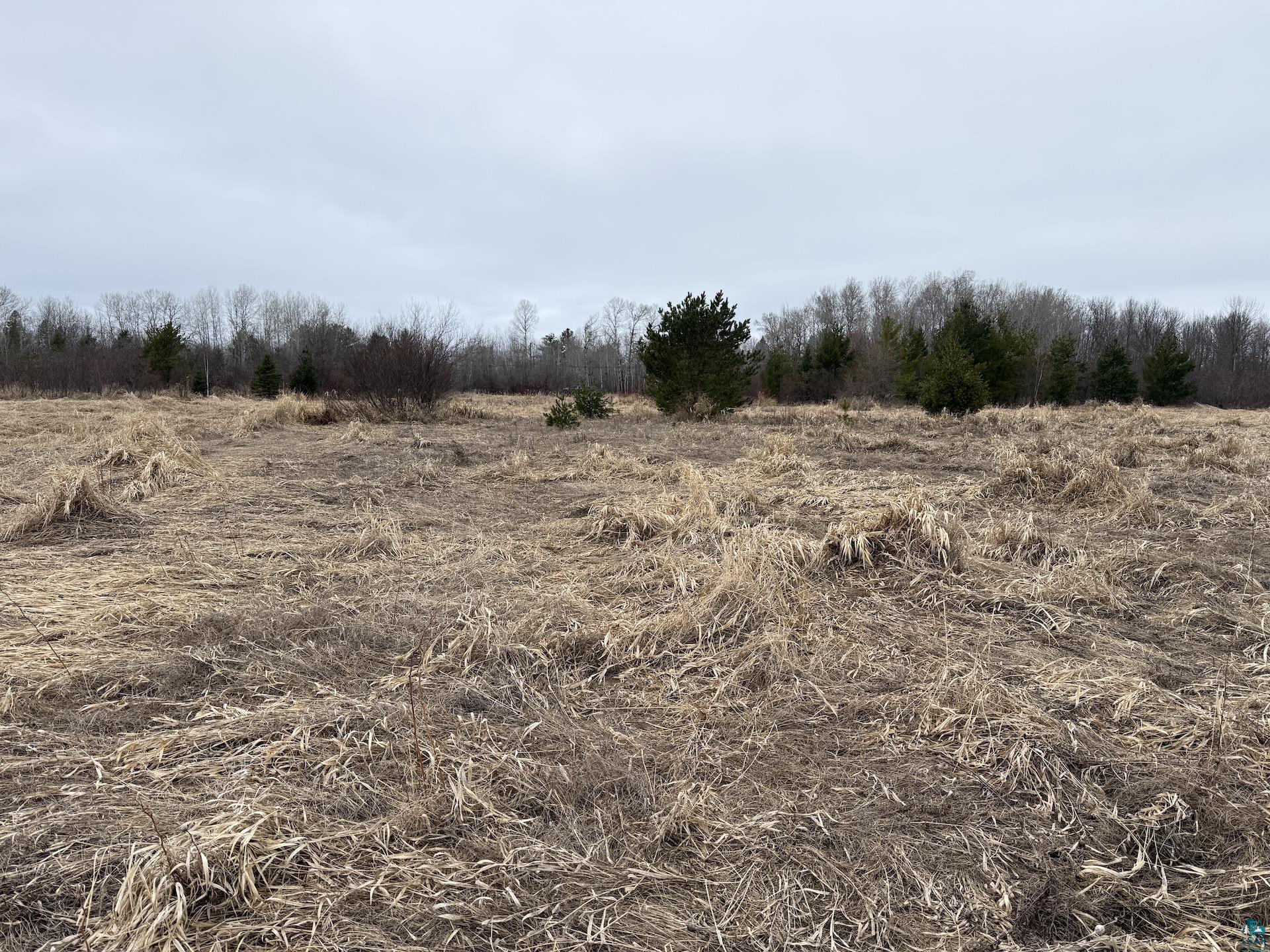 0 Lake Park Road Ashland, WI 54806 - Photo 13 of 19