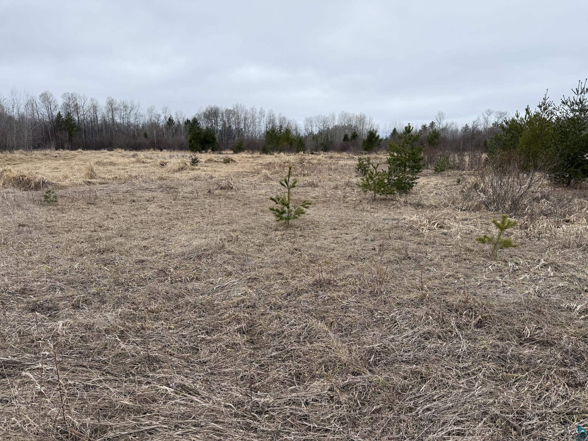 0 Lake Park Road Ashland, WI 54806 - Photo 15 of 19