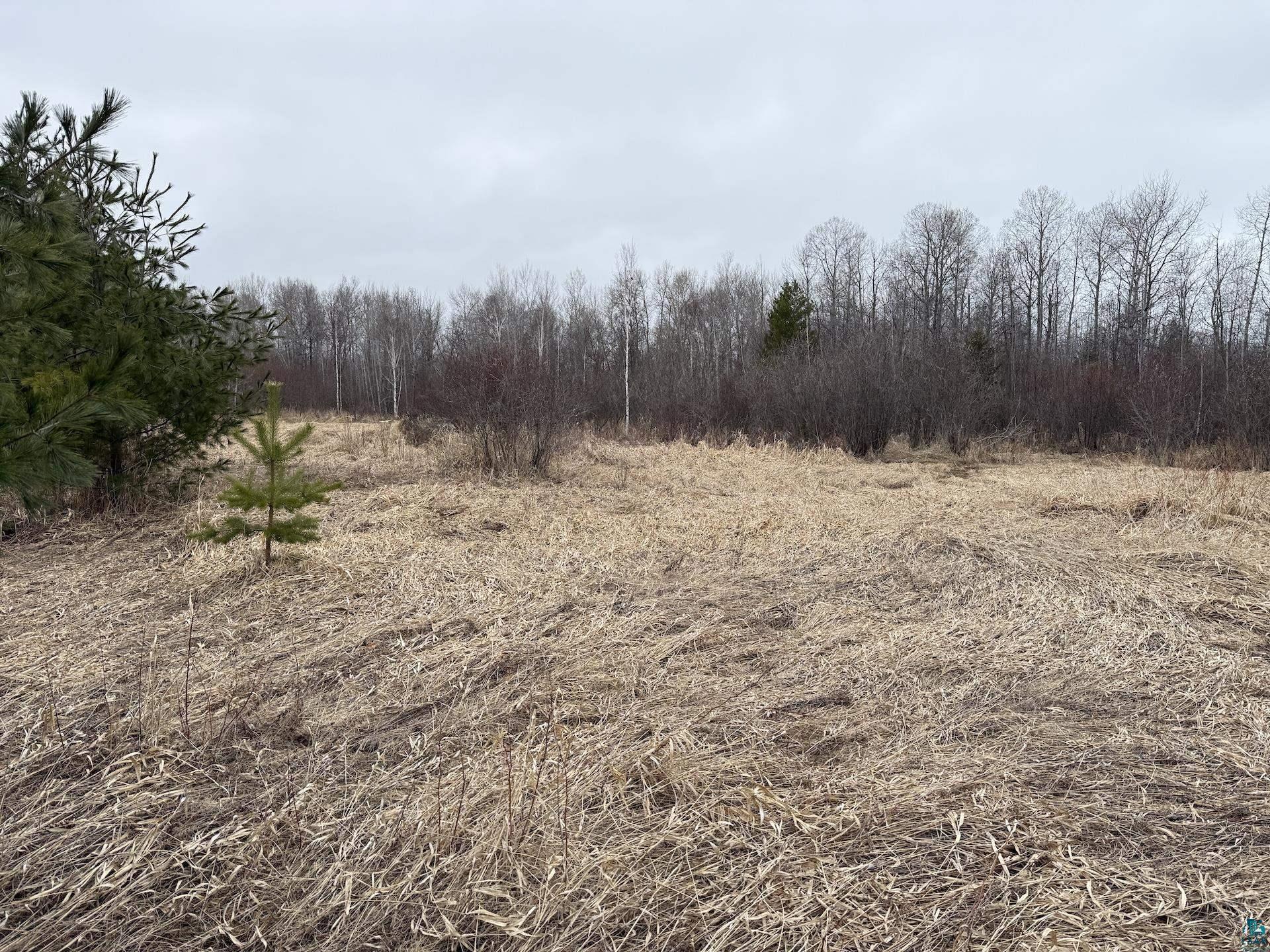 0 Lake Park Road Ashland, WI 54806 - Photo 17 of 19