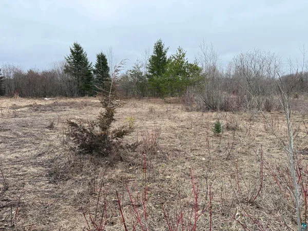 $44,900 | 0 Lake Park Road, Ashland, WI 54806