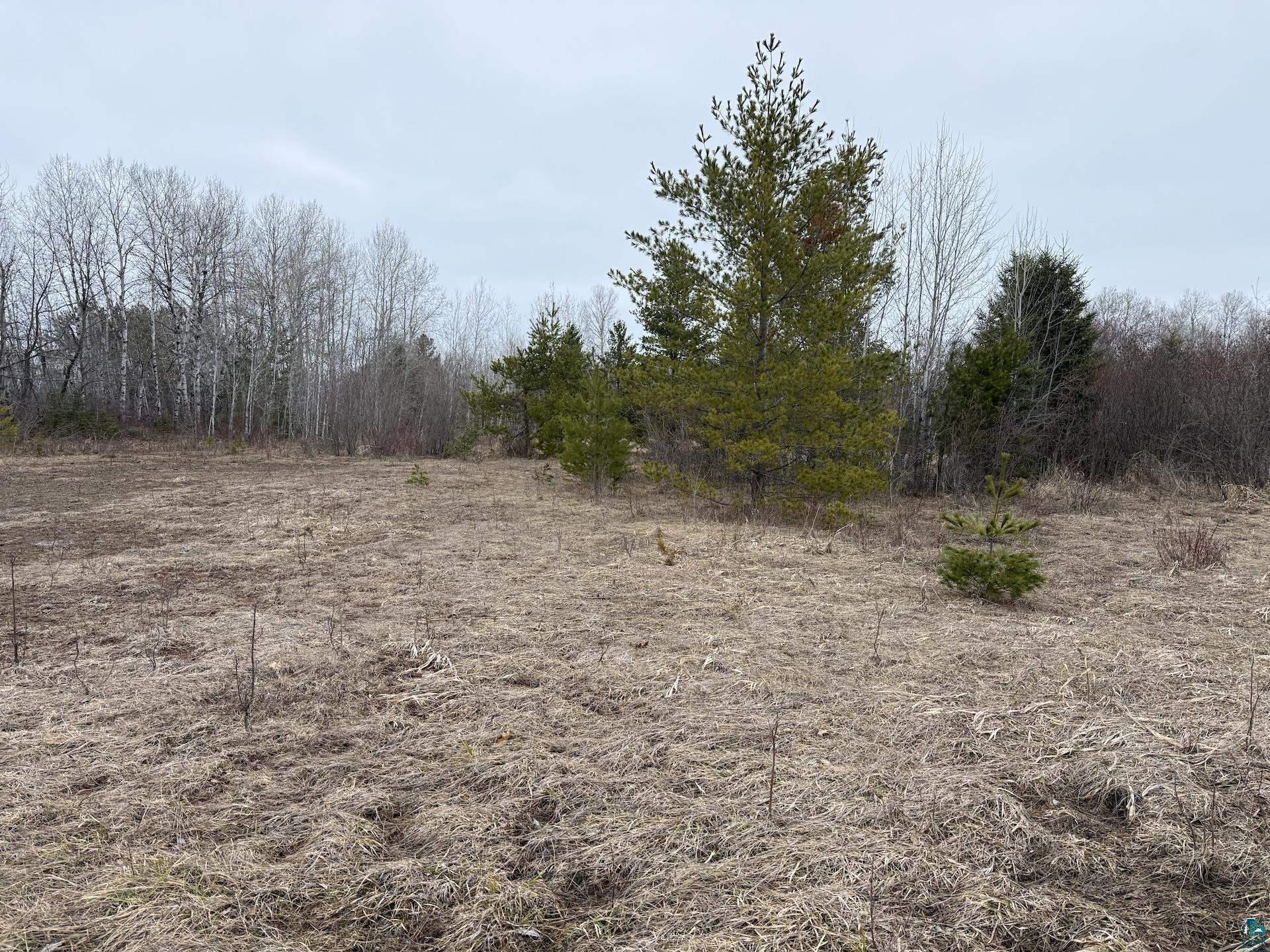 0 Lake Park Road Ashland, WI 54806 - Photo 3 of 19