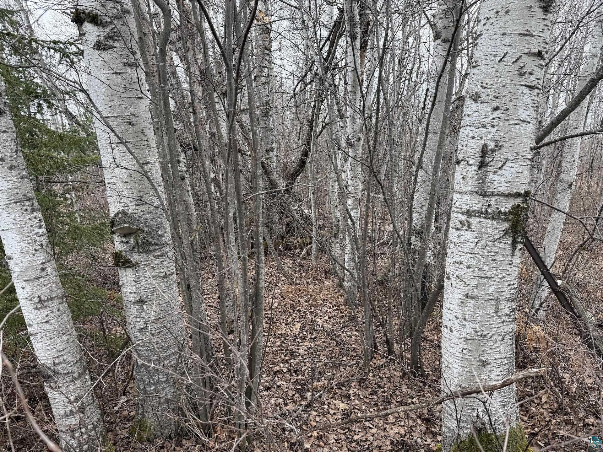 0 Lake Park Road Ashland, WI 54806 - Photo 4 of 19