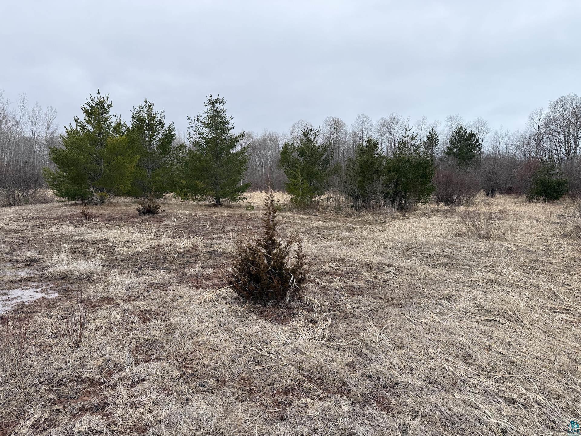 0 Lake Park Road Ashland, WI 54806 - Photo 5 of 19