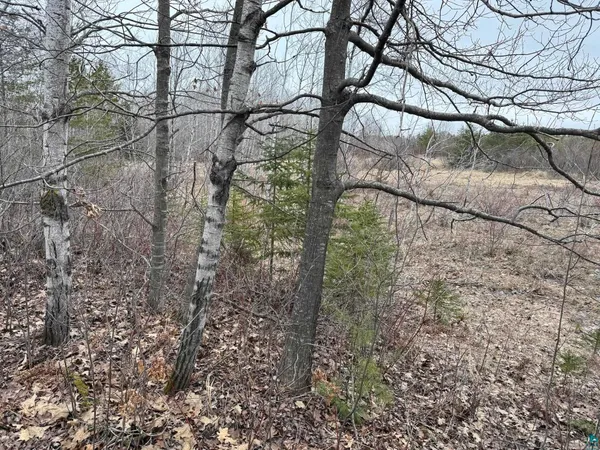 $44,900 | 0 Lake Park Road, Ashland, WI 54806