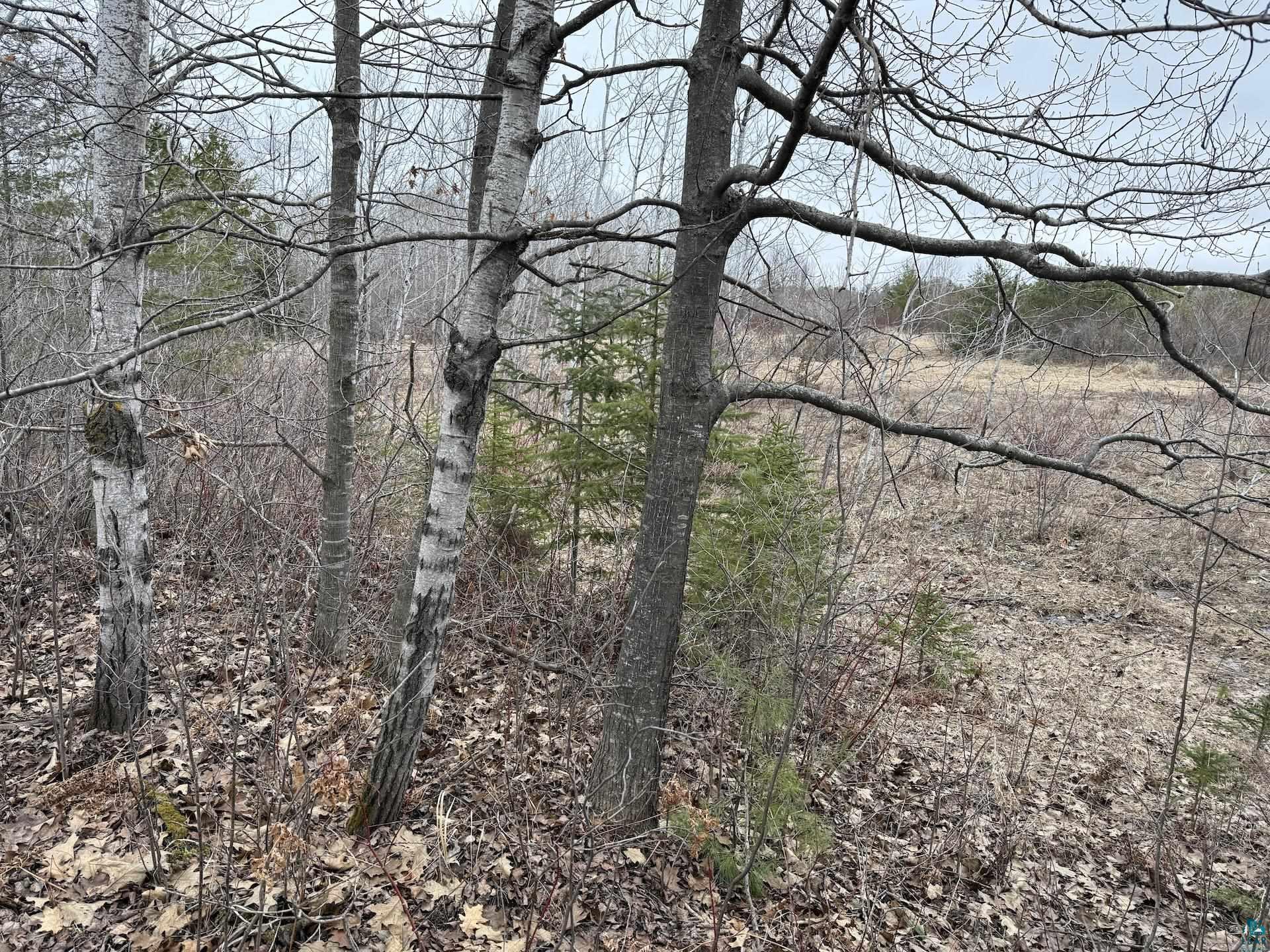 0 Lake Park Road Ashland, WI 54806 - Photo 6 of 19