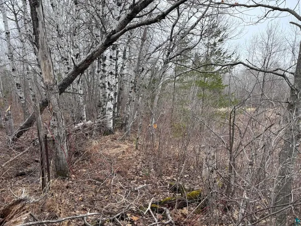 $44,900 | 0 Lake Park Road, Ashland, WI 54806