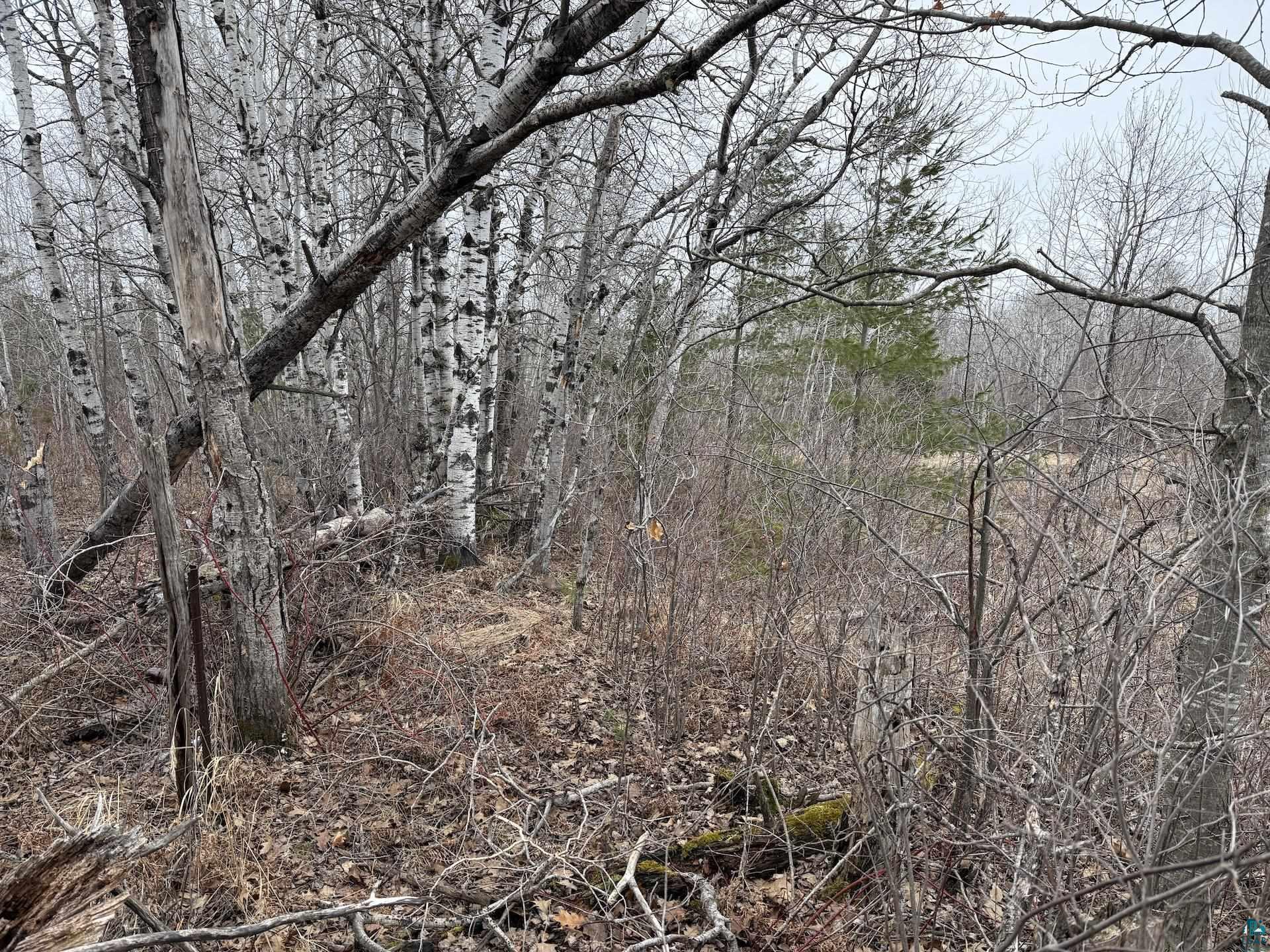 0 Lake Park Road Ashland, WI 54806 - Photo 10 of 19