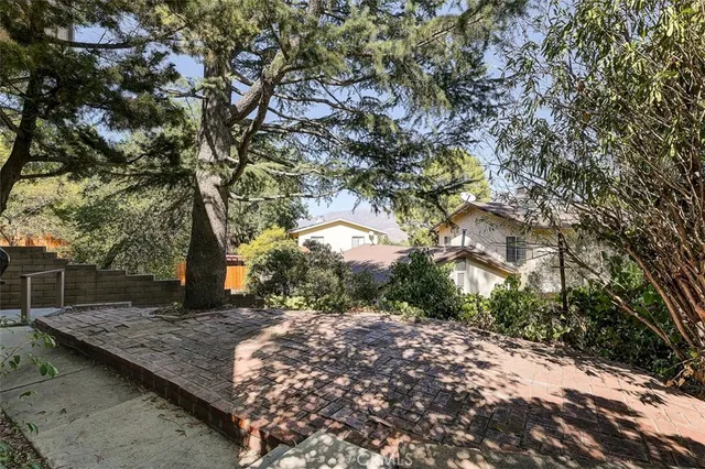 a view of a street with a tree in front of it
