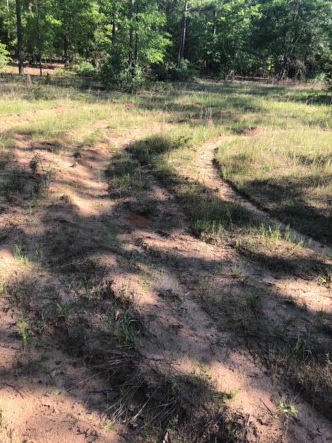 0 Bull Swamp Road North, SC 29112 - Photo 2 of 15 IMG_0775