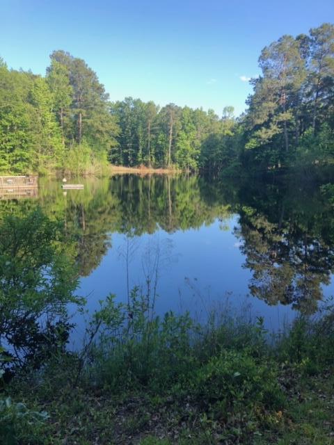 0 Bull Swamp Road North, SC 29112 - Photo 15 of 15 IMG_0784