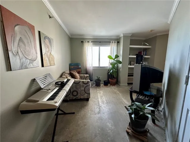 a view of a potted plant in a room